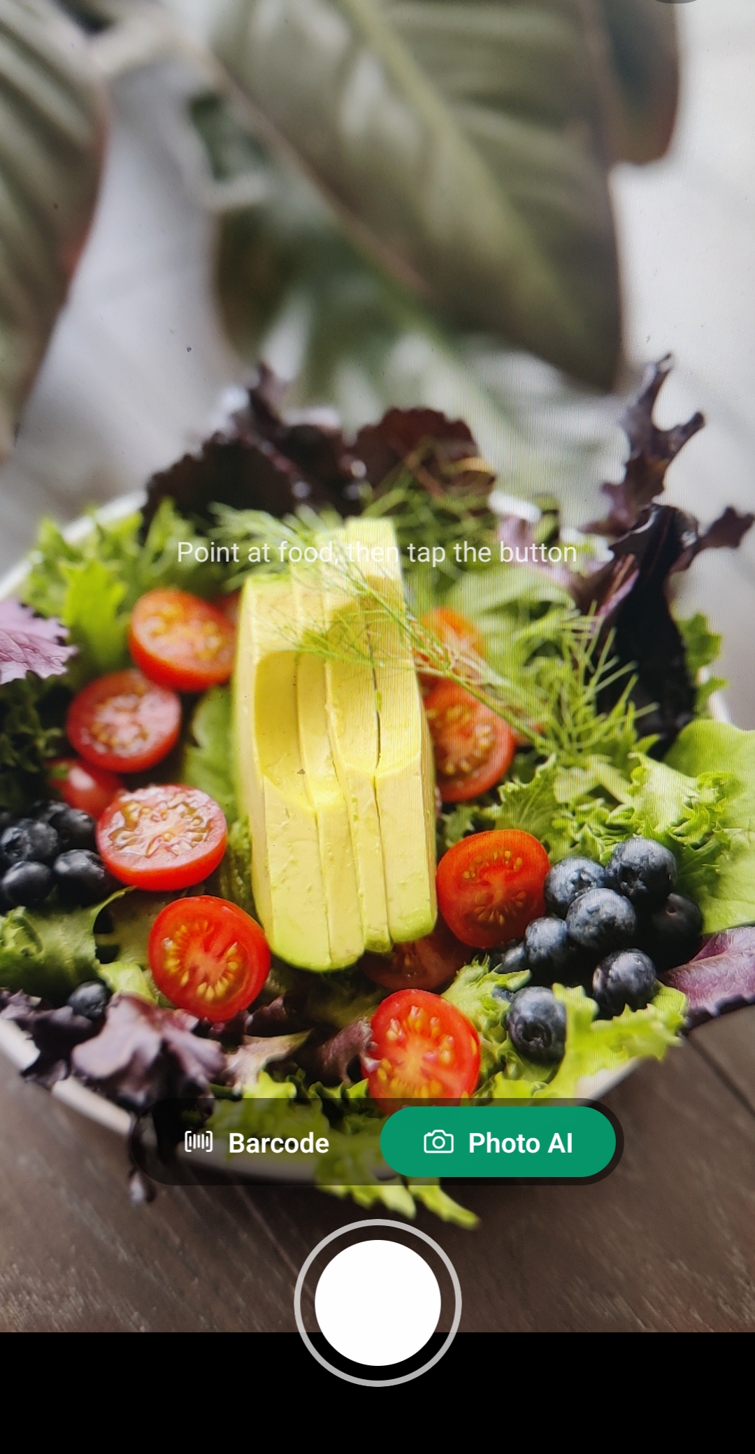 AI Photo food detection